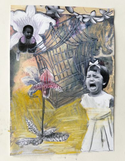 Orchid House, collage, 2025
