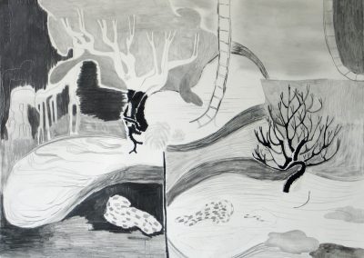 'A Green Ladder', charcoal, graphite on paper, 56 x 76 cm, 2005