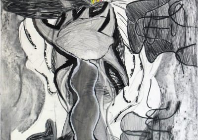 'Insomnia', Charcoal, graphite, colour pencil on paper, 76 x 56 cm, 2007