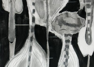 'Night Palm', charcoal, graphite on paper, 76 x 56 cm, 2006