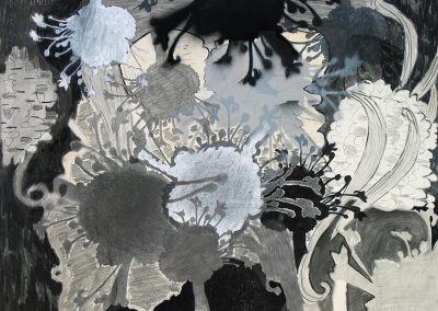 'Waokanaka', charcoal, gouache, graphite, stencil on paper, 56 x 76 cm, 2008